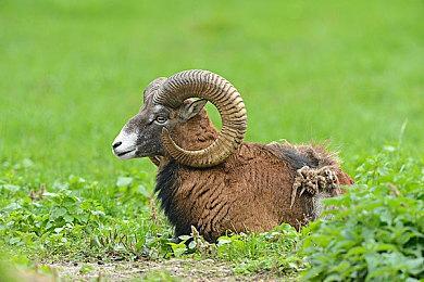 全系列新情报：困兽支持DLSS4，消光1免费周末，消光2优化体力值