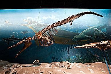 Microids宣布《幸存者：流浪岛》10月发售